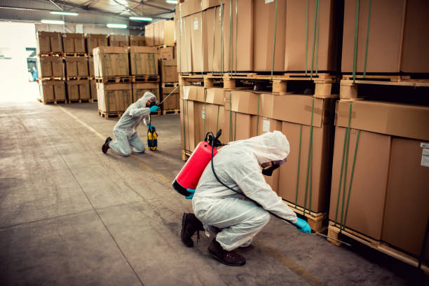 Reliable Sans Souci, SC Pest Control Solutions
