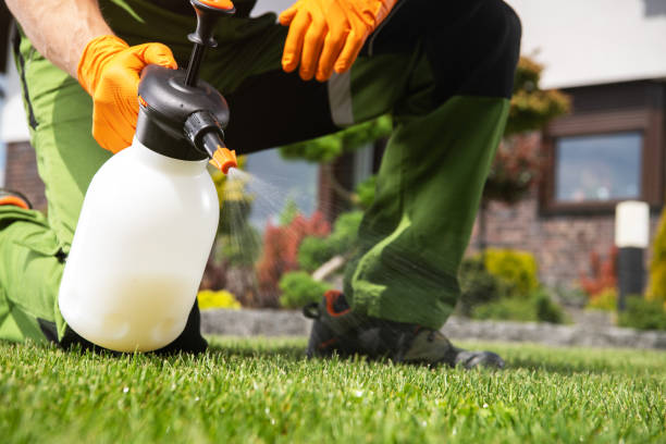 Best Commercial Pest Control Services  in Sans Souci, SC