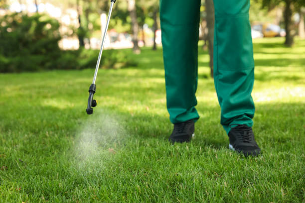 Best Mosquito Control Services  in Sans Souci, SC