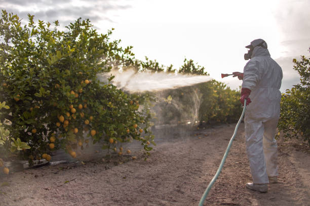 Best Pest Removal Services  in Sans Souci, SC