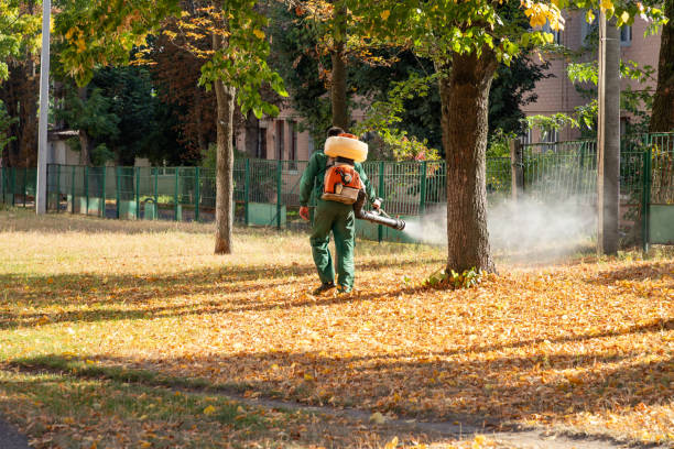 Best Local Pest Control Services  in Sans Souci, SC